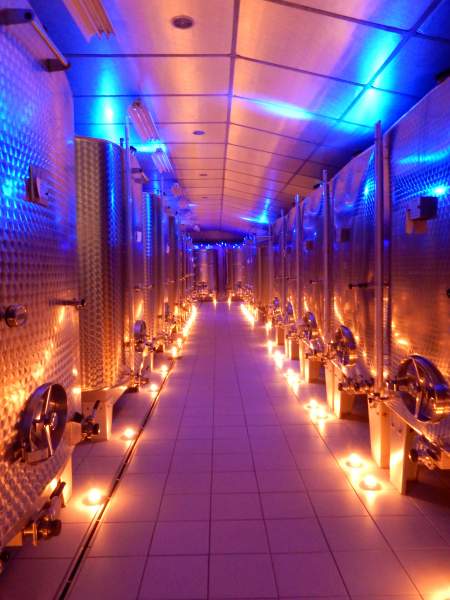 La cave du Domaine Luquet